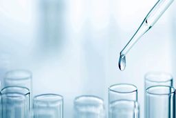 نشانه های رشد قیمت پلی اتیلن