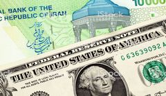 پلیمر؛ راهکاری برای تبدیل تومان به دلار/شکست 