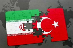 پتروشیمی های ایرانی هنوز فروش در بازار داخلی را ترجیح می دهند/ پلی اتیلن های عربستان و قطر در بازار چین و جنوب شرق آسیا محبوب تر هستند