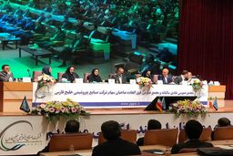 پتروشیمی برزویه و پارس آماده ورود به بورس شدند