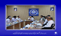 دکتر حسینی، مدیرعامل شرکت سرمایه گذاری غدیر در بازدید از مگا پروژه کیان : لزوم تامین مالی مهمترین پروژه پتروشیمی کشور