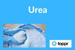 اخبار ضد و نقیضی درباره فروش اوره سازهای ایرانی منتشر شده است