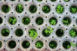 رقابتی شدن قیمت سوخت هیدروژن چین در برابر نفت تا سال 2030