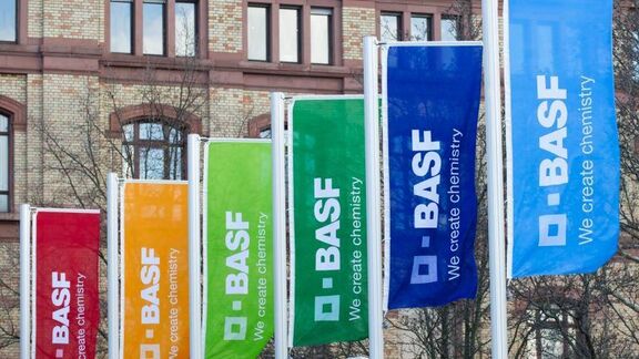 BASF starts piling work for petrochemical project