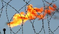نگاهی به مصوبه شورای رقابت درباره قیمت خوراک پتروشیمی ها
