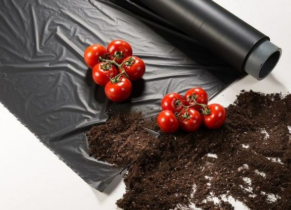 خلاصه هفتگی مهم ترین اخبار آسیا و غرب آسیا در هفته منتهی به 7 می 2021