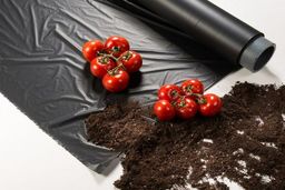 خلاصه هفتگی مهم ترین اخبار آسیا و غرب آسیا در هفته منتهی به 7 می 2021