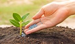 قیمت اوره پتروشیمی های ایرانی برای بازار ترکیه به 590 دلار رسید