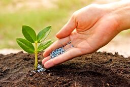 قیمت اوره پتروشیمی های ایرانی برای بازار ترکیه به 590 دلار رسید