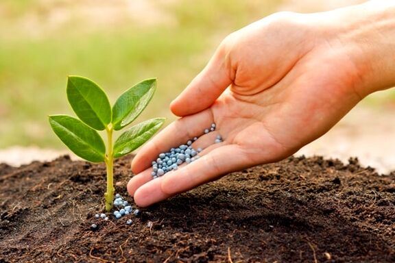 قیمت اوره پتروشیمی های ایرانی برای بازار ترکیه به 590 دلار رسید