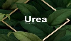 حقایق پشت پرده عزل مدیرعامل مسجد سلیمان چیست؟