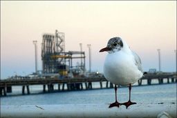 شرکت اینترپرایز پروداکتس برنامه دارد تا ظرفیت صادراتی اتیلن و اتان خود را توسعه دهد