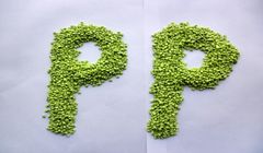 سبقت «پلی پروپیلن سازها» از پتروشیمی تندگویان