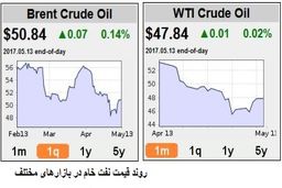 تاکید بر احتمال ناکارامدی تصمیمات اوپک