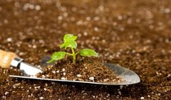 یک محموله اوره ایران با قیمت 500 دلار فروخته شد 