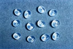 پایان روند افزایش نرخ پلی پروپیلن در بازار داخلی چین