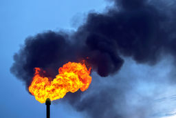 ترامپ، قانون فدرال محدودیت فلر را به تعویق انداخت