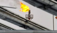 ملاحظات تحلیلی چشم انداز توسعه صنعت پتروشیمی ایران در افق 1404