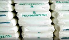 چشم انداز PP، PE، PVC هند برای سال 2024: پس از رکوردهای 2023، آیا رونق تقاضا ادامه خواهد داشت؟