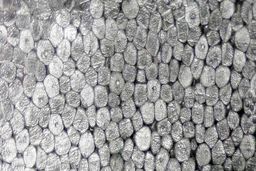 عقب‌نشینی بازار پلی استایرن آسیا از بالاترین قیمت‌های خود در یک سال اخیر 