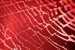 مهم‌ترین اخبار آسیا و غرب آسیا در هفته منتهی به 25 ژوئن 2021