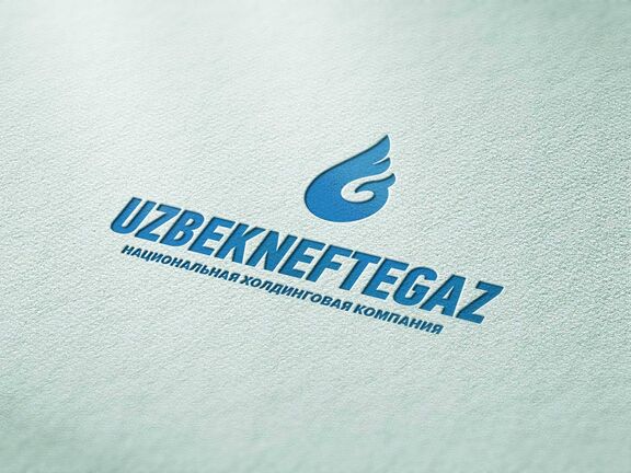 برنامه شرکت Uzbekneftegaz برای ساخت مجتمع شیمیایی گازی جدید