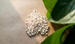 فشار رکود بازار به تولید کنندگان برای کاهش قیمت