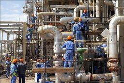 خوراک بین مجتمعی پتروشیمی ها با ارز مبادله ای محاسبه می شود/فروش استایرن مونومر پتروشیمی پارس با ارز آزاد قانونی نیست