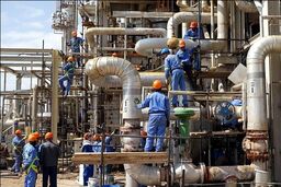 خوراک بین مجتمعی پتروشیمی ها با ارز مبادله ای محاسبه می شود/فروش استایرن مونومر پتروشیمی پارس با ارز آزاد قانونی نیست