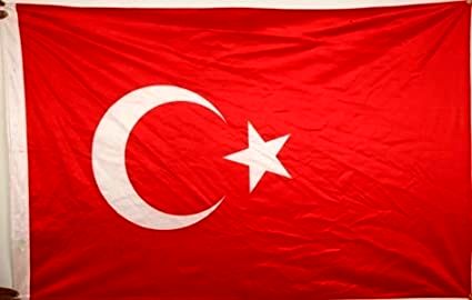 Turkey reinstates Saudi Arabia in customs scheme. 