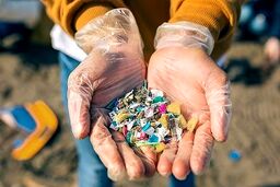 پلی اتیلن های سبک پتروشیمی امیرکبیر، آریاساسول و لاله بیشترین تقاضا و فروش را در بازار ترکیه ثبت کردند/تعمیرات و کاهش چشمگیر موجودی سینوپک و پتروچاینا در بازار چین