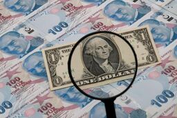 پیش بینی ها درباره ارزش لیر تا پایان سال