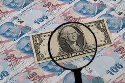پیش بینی ها درباره ارزش لیر تا پایان سال