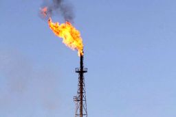 فرصت 3 ماهه وازت نفت برای تعیین قیمت خوراک پتروشیمی ها