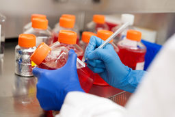 قیمت تولوئن در آسیا به تدریج کاهش می یابد