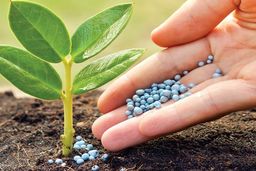 سانسرز: بازار اوره چین به طور موقت به ثبات رسید