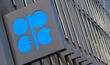OPEC Genel Sekreteri: Petrolün siyasallaşmasını istemiyoruz