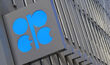 OPEC Genel Sekreteri: Petrolün siyasallaşmasını istemiyoruz