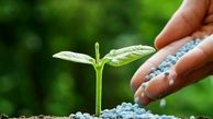 پتروشیمی های اوره ساز با چه نرخی، محموله های صادراتی را فروختند!