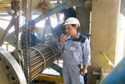 سهم پلی اتیلن سازها در بازار ایران