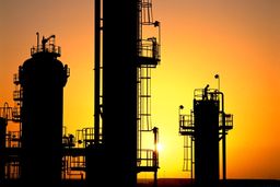 «پترولیوم و گایل» هندی، پتروشیمی جدید می سازند