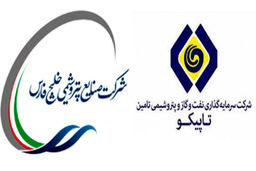 ادغام دو غول پتروشیمی دولتی