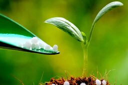 خارج شدن ایران از بازار اوره جهان؛ بازار داغ اوره جهانی و غیبت اوره سازهای ایرانی به دلیل نداشتن خوراک گاز!