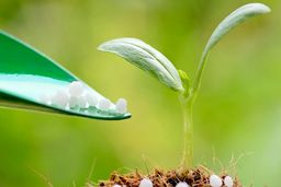 خارج شدن ایران از بازار اوره جهان؛ بازار داغ اوره جهانی و غیبت اوره سازهای ایرانی به دلیل نداشتن خوراک گاز!