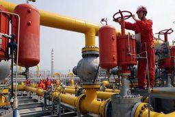 توقف تولید واحدهای پلی اتیلن سینوپک در ماه اکتبر/ احتمال رشد قیمت  اِل پی جی در زمستان