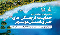 پتروشیمی پردیس حامی جنگل های حرای استان بوشهر شد