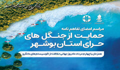 پتروشیمی پردیس حامی جنگل های حرای استان بوشهر شد