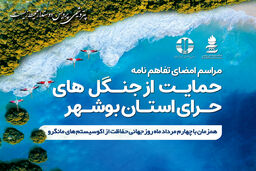 پتروشیمی پردیس حامی جنگل های حرای استان بوشهر شد