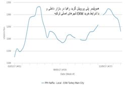 واکنش محدود بازار پلی اولفین وارداتی ترکیه به بازار داخلی