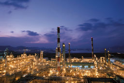 تعطیلی کارخانه‌ی پلی اتیلن ترفتالات TK Chemical کره جنوبی